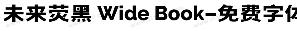 未来荧黑 Wide Book字体转换